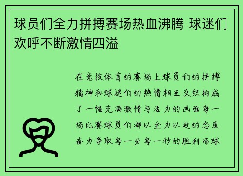 球员们全力拼搏赛场热血沸腾 球迷们欢呼不断激情四溢