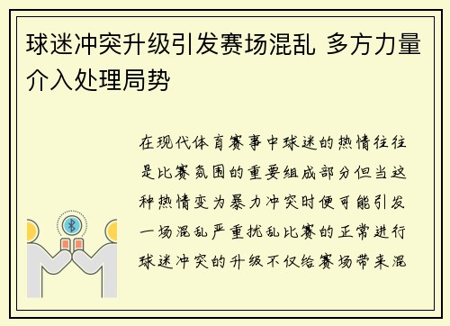 球迷冲突升级引发赛场混乱 多方力量介入处理局势